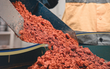 corporate-governance